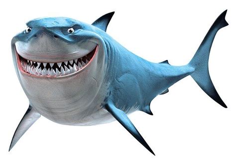 Shark In Nemo White Background