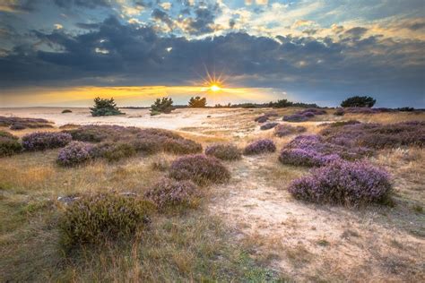 Top 10 Interesting Facts About Hoge Veluwe National Park