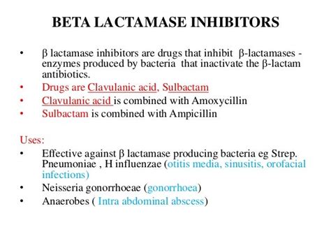 6 beta lactum drugs dental