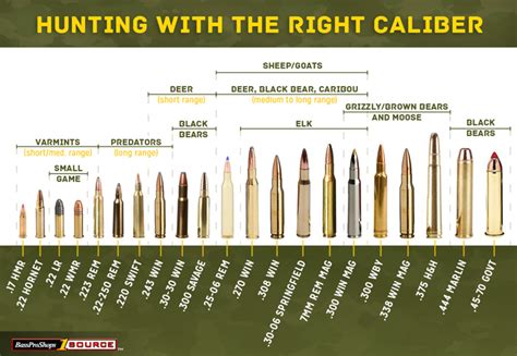 Ammo and Gun Collector: Hunting Calibers Chart With Suitable Game Listed