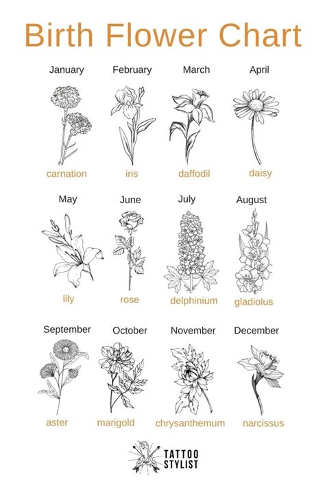 Birth Flower Chart infographic | Birth flower tattoos, Flower chart ...