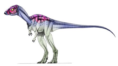 Micropachycephalosaurus | Dinopedia | FANDOM powered by Wikia