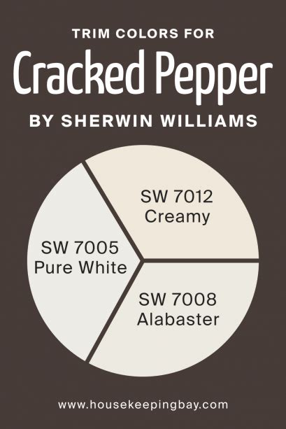 Cracked Pepper SW 9580 Paint Color by Sherwin-Williams