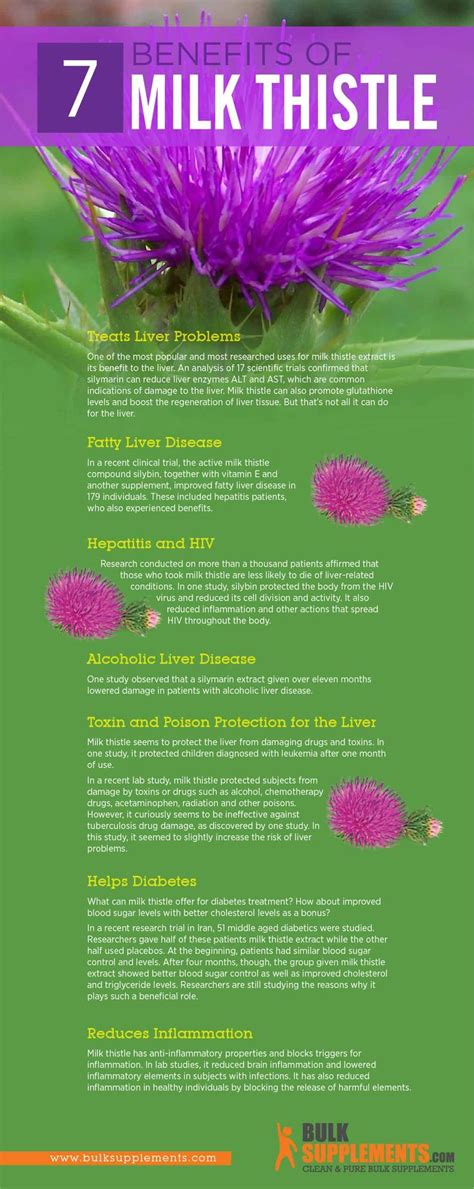 Milk Thistle: Benefits, Dosage & Side Effects | BulkSupplements.com ...