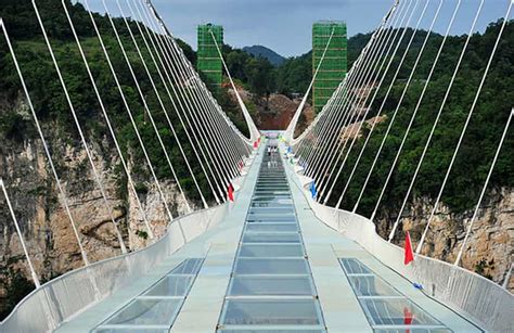 Private Tour of Zhangjiajie Grand Canyon with Glass Bridge | GetYourGuide