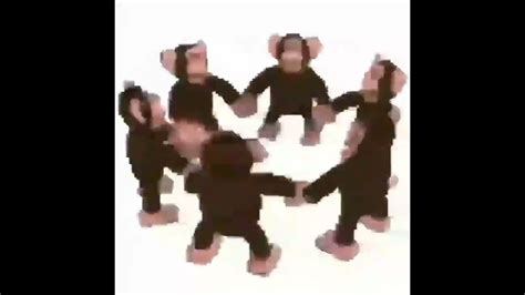 Happy Monkey Circle - YouTube