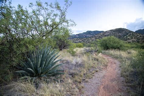 Active Weekend Getaway in Sierra Vista, Arizona - Visit USA Parks