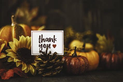 Happy Thanksgiving! Feast On These Freebies! | Sew Daily | Happy ...