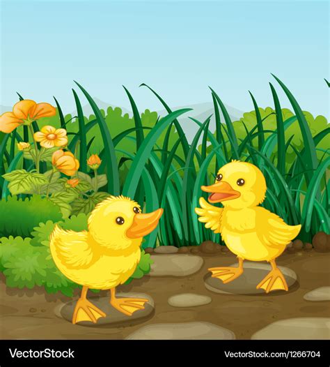 Two little ducks in the garden Royalty Free Vector Image