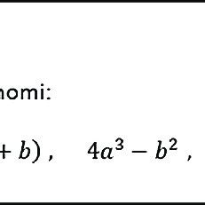 Examples of what a monomial is, in IT4. | Download Scientific Diagram