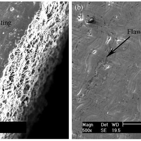 SEM of cross-section morphology in TiCN coating. (a) Low magnification ...