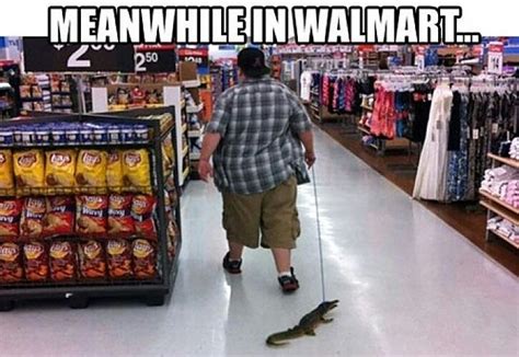 Meanwhile in Walmart... - Meme by FergleMcGergle :) Memedroid