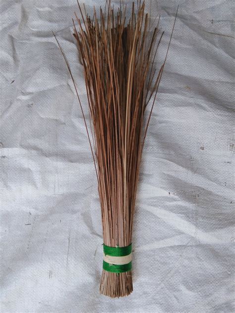 Cococnut Broom at Rs 20/piece | Coconut Brooms | ID: 23306146188