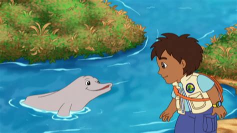 Watch Go, Diego, Go! Season 2 Episode 1: Diego Saves Baby River Dolphin ...