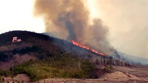 Due to a Brush Fire in Lahaina, Evacuation was Enforced in the Area ...