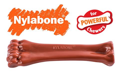 Nylabone Dog Chew Toy Powerful Chewer 3 Pack Bison Durable and Long ...