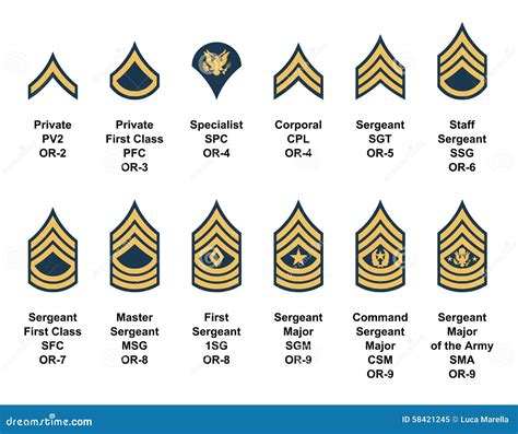 Army Insignia Rank Stock Illustrations – 4,733 Army Insignia Rank Stock ...