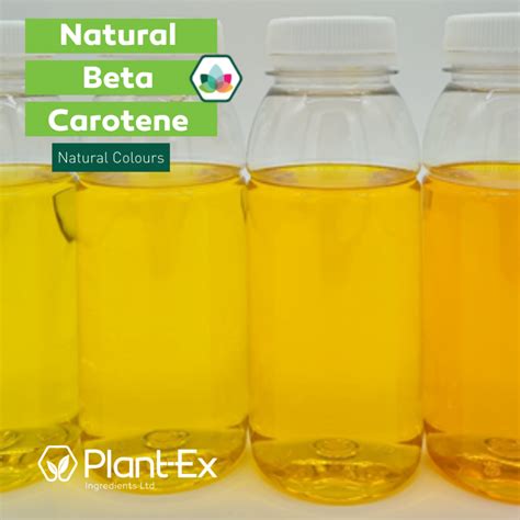 Natural Beta Carotene, a colour that you don’t want to miss! – Plant-Ex