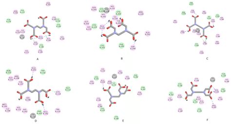 Two-dimensional diagrams illustrating BTPs-EDTA interactions: (A ...