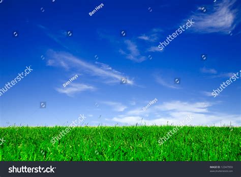 Empty Field Of Green Grass Under Clear Blue Sky Stock Photo 12347959 ...