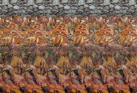 This is the best stereogram I have ever seen! : pics | Ilusi, Gambar ...