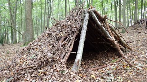 Bushcraft 101: How to Build a Survival Shelter in the Wilderness