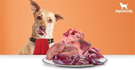 Glandulars: Your Dog Needs To Eat These Organs | Dogs Naturally