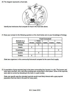 Worksheet - Competition & Ecological Niche *EDITABLE* | TPT