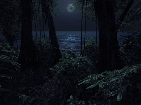 Jungle Night Wallpaper