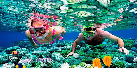 Private Snorkeling Trips | Beach Bum Cozumel