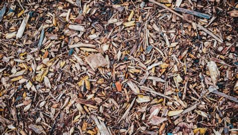 How to use wood chip mulch in your garden - Fell | Chipper Castle Hill