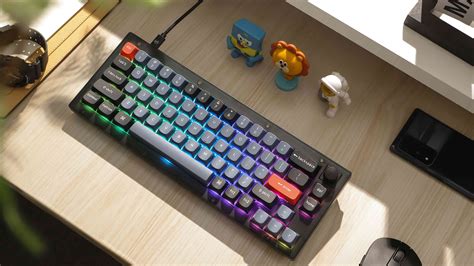 Keychron V2 Wired RGB Knob Mechanical Keyboard Brown Black