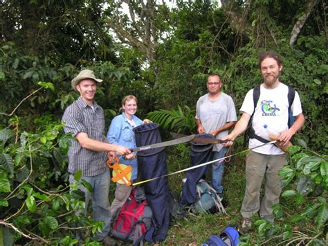 Following the Adventurous Ant Trail | NSF - National Science Foundation