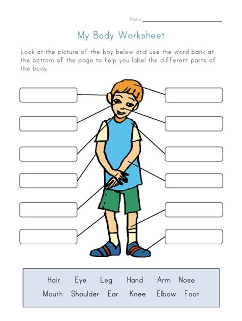 Body Parts Diagram / Diagram showing different parts of the body ...