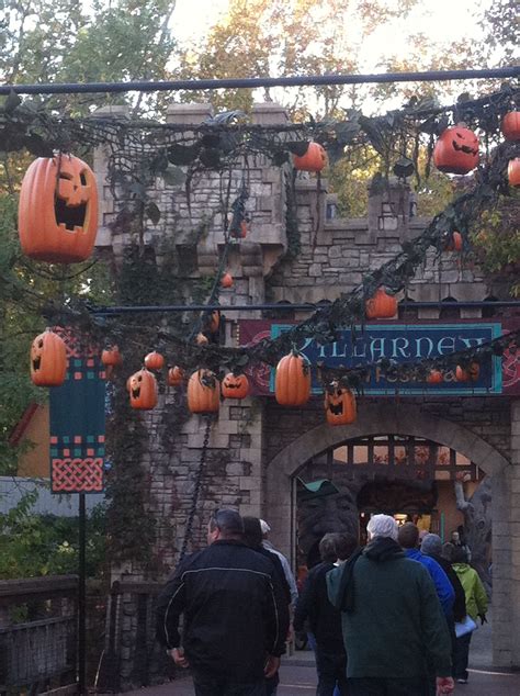 (Pumpkins hanging from vines at Busch Gardens. Love this idea ...