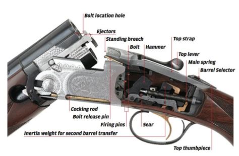 Gun diagrams - noreddistribution