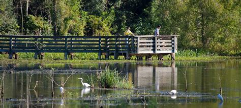 Brazos Bend State Park