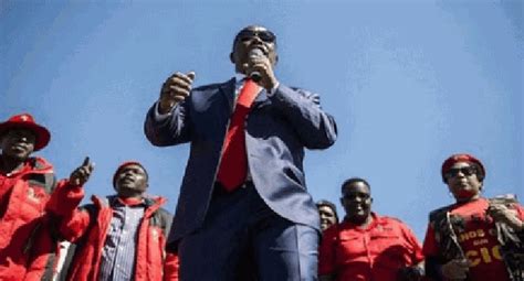 malema – Channels Television