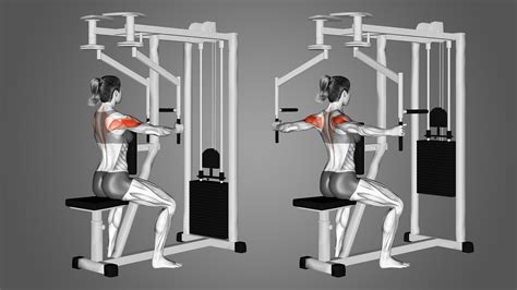 Pec Deck Machine Rear Delt Fly: Benefits, Muscles Worked, and More ...