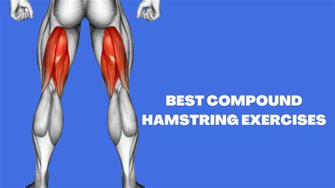 What Are The Best Hamstring Compound Exercises?