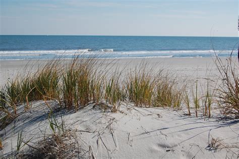 Beach Scene 7277 | Sand dunes with beach grass with ocean vi… | By ...