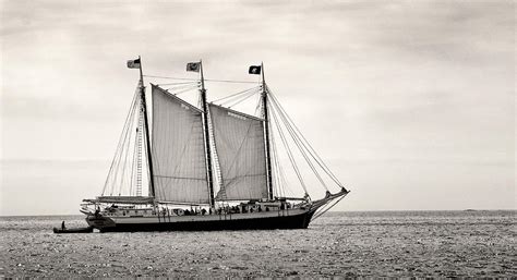 Schooner Victory Chimes 2012 Photograph by Fred LeBlanc | Fine Art America