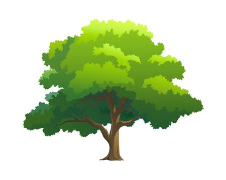 Tree Cartoon Images – Browse 2,393,111 Stock Photos, Vectors, and Video ...