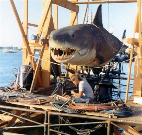 'Jaws' Shark Gets His Bite Back: A Love Story | WBUR