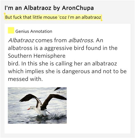 But fuck that little mouse 'coz I'm an albatraoz – I'm an Albatraoz ...