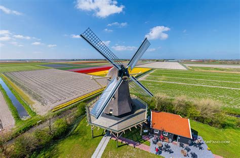 Holland. Windmills