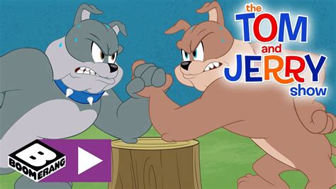 Tom jerry cartoon videos youtube - rocstage