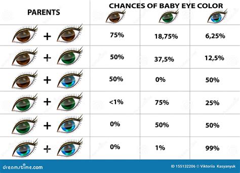 Eye Color Chart Eye Color Chart Eye Color Chart Genetics Eye Color ...