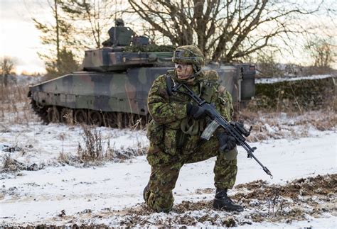 Estonia procures LMT MARS assault rifles to replace Galils and G3s ...