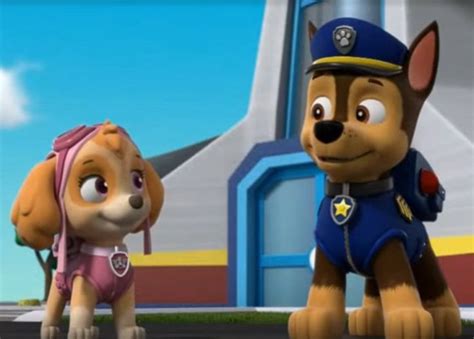 Pin by Thomas Ash on Skye x Chase | Skye paw patrol, Paw patrol pups ...